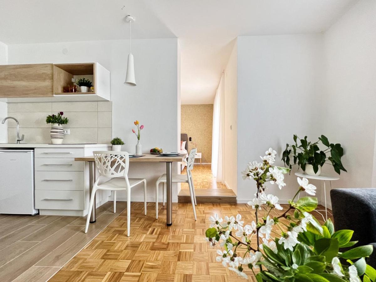 Apartments Valerian Novigrad  Ngoại thất bức ảnh